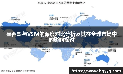 best365墨西哥与VSM的深度对比分析及其在全球市场中的影响探讨